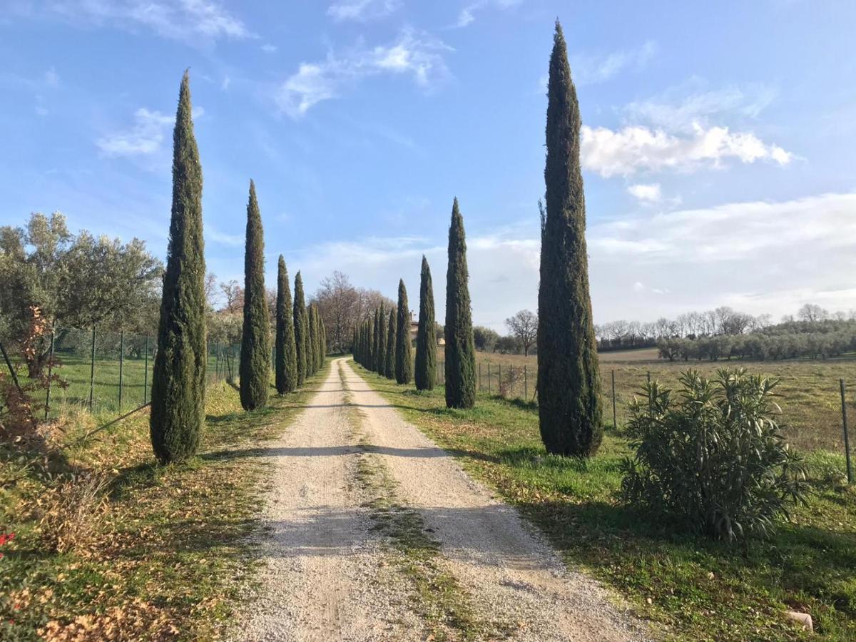 Agriturismo La lampada di Atena Vetralla Bagian luar foto
